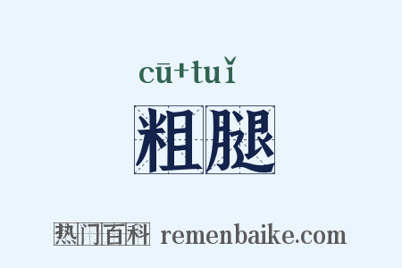 粗腿是什么意思的图片